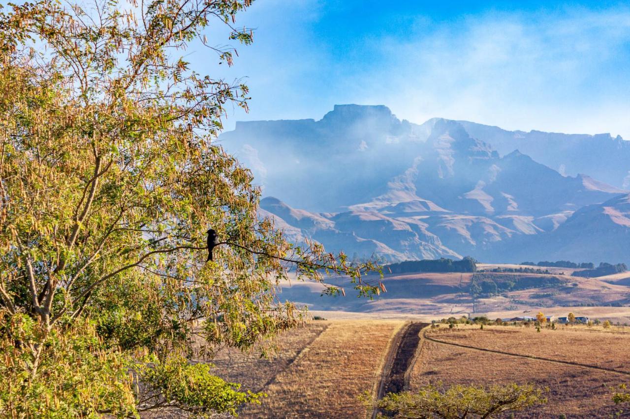 Inkungu Lodge Champagne Valley Εξωτερικό φωτογραφία