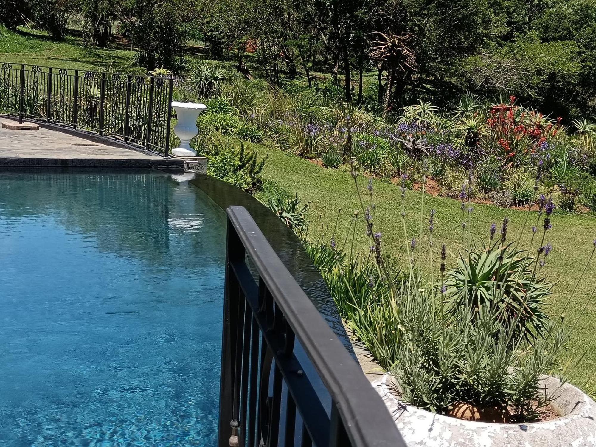 Inkungu Lodge Champagne Valley Εξωτερικό φωτογραφία